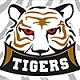 DMV White Tigers