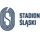 logo slaski