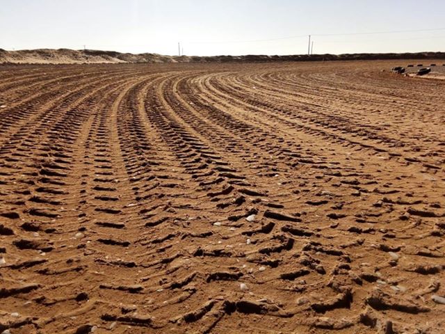 44961431 2187404328192703 1993388441986924544 n